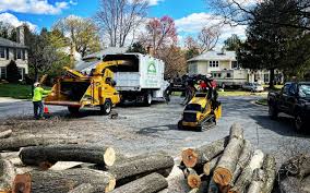 Lawn Irrigation Installation and Maintenance in Hamburg, NJ